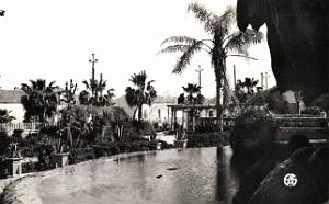 Hammam bou hadjar 507- Bassin COLLECTION DES AMIS DE ND DE SANTA CRUZ